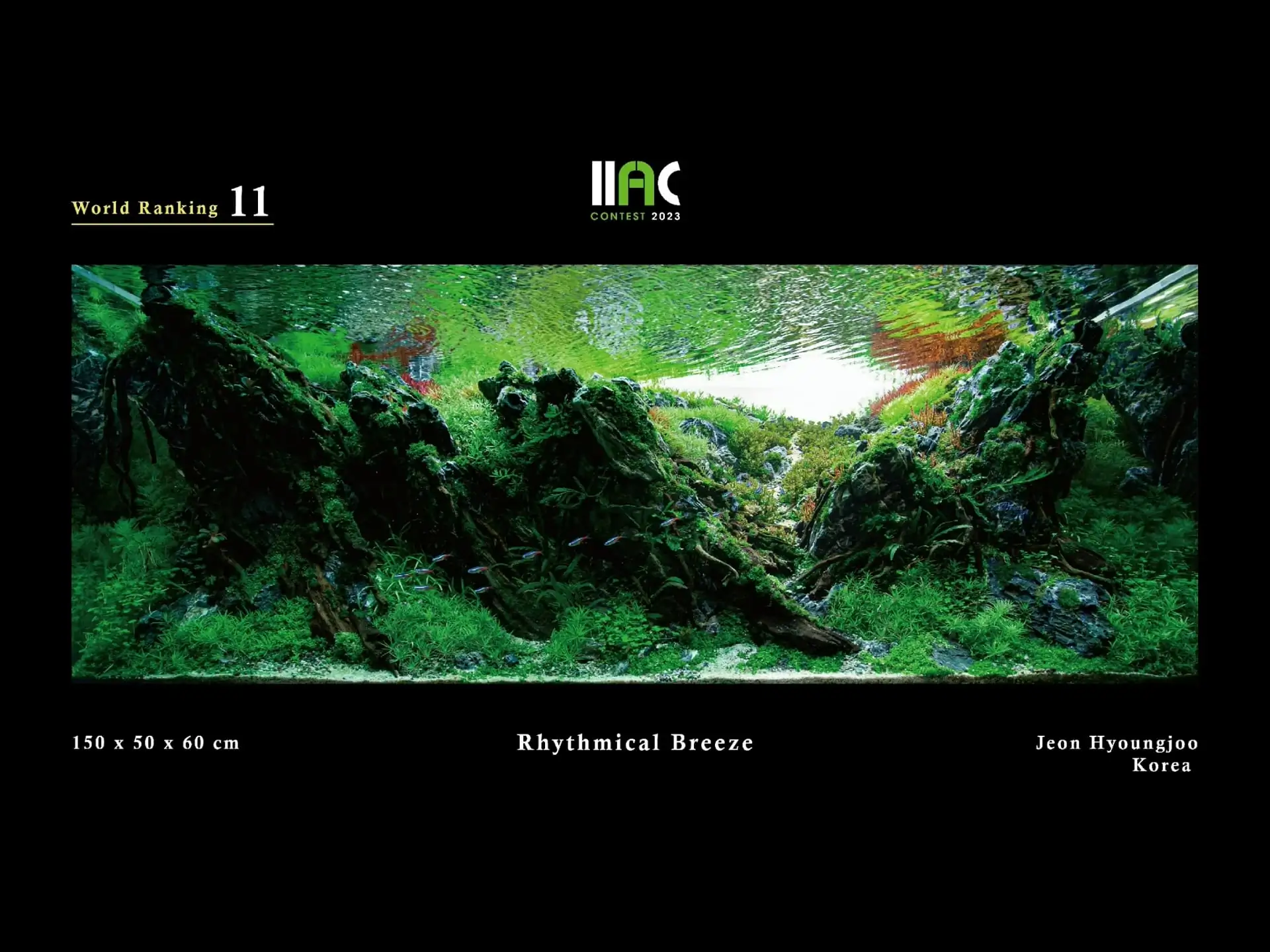 Rhythmical Breeze - IIAC 2023 #11 Jeon Hyoungjoo / South Korea